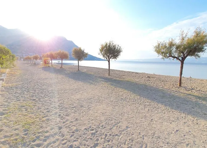 Sandy Omiš